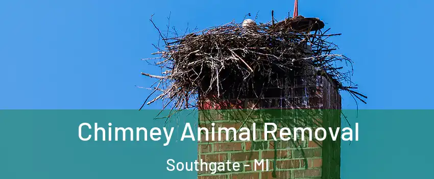 Chimney Animal Removal Southgate - MI