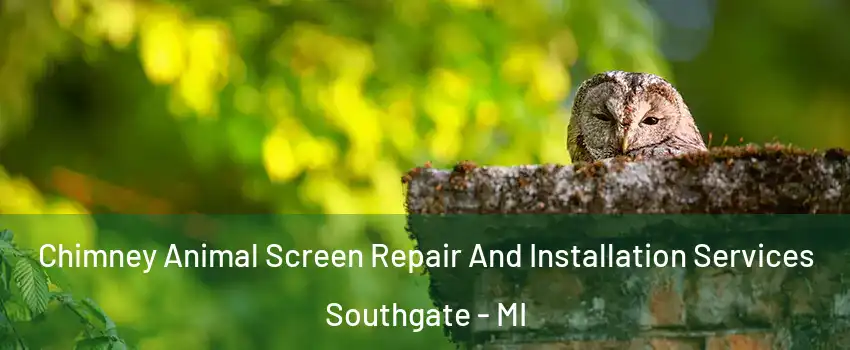  Chimney Animal Screen Repair And Installation Services Southgate - MI