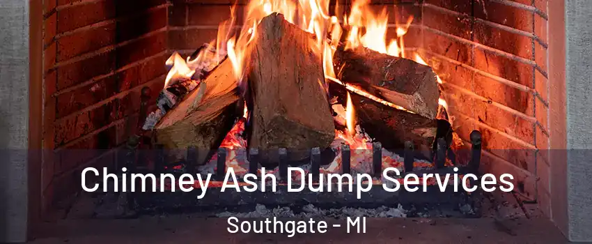  Chimney Ash Dump Services Southgate - MI