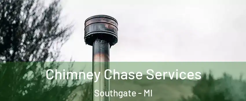  Chimney Chase Services Southgate - MI
