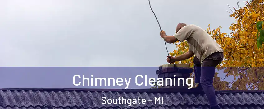  Chimney Cleaning Southgate - MI