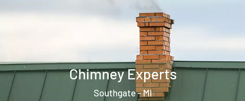 Chimney Experts Southgate - MI