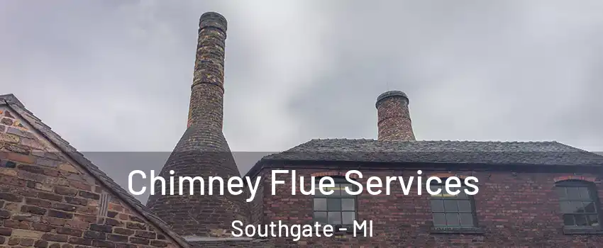  Chimney Flue Services Southgate - MI