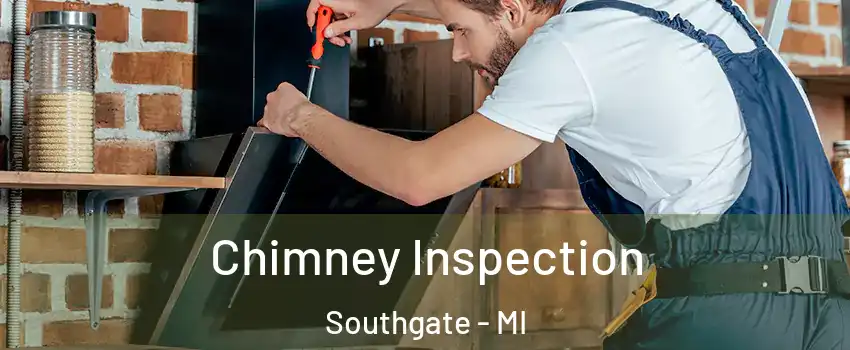  Chimney Inspection Southgate - MI