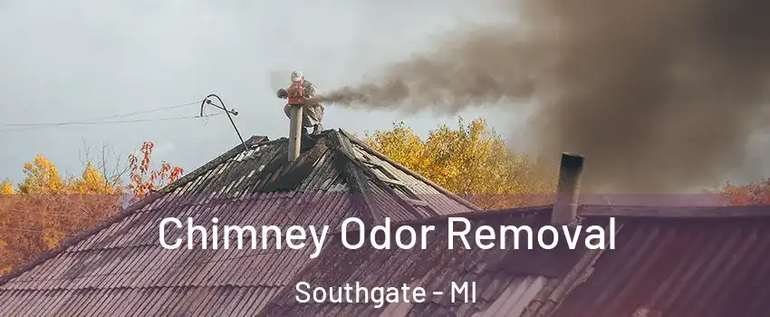  Chimney Odor Removal Southgate - MI