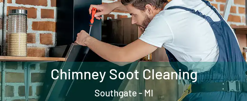  Chimney Soot Cleaning Southgate - MI