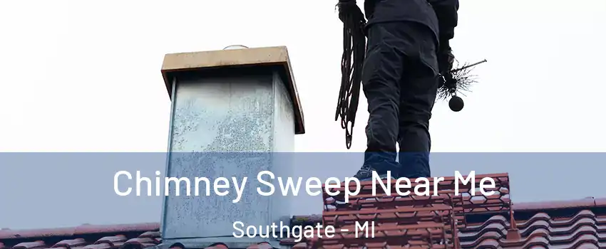  Chimney Sweep Near Me Southgate - MI