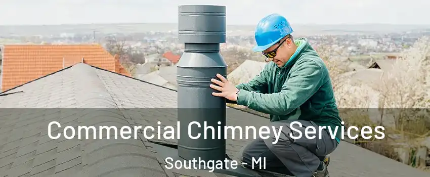  Commercial Chimney Services Southgate - MI