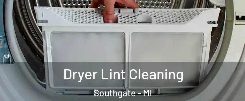  Dryer Lint Cleaning Southgate - MI
