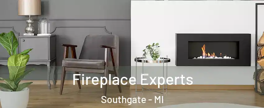  Fireplace Experts Southgate - MI