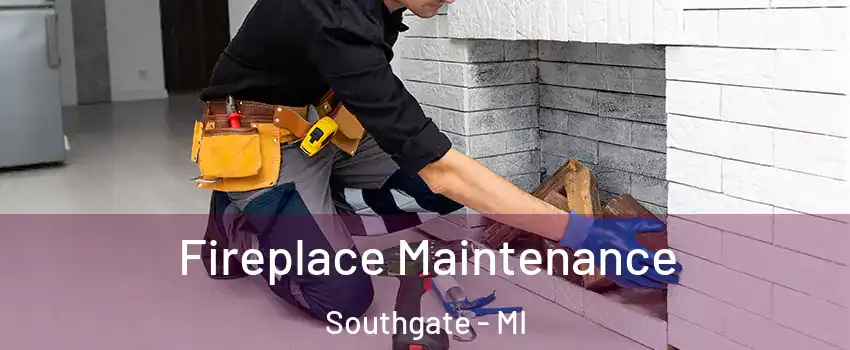  Fireplace Maintenance Southgate - MI