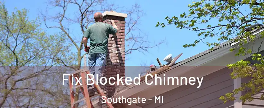  Fix Blocked Chimney Southgate - MI