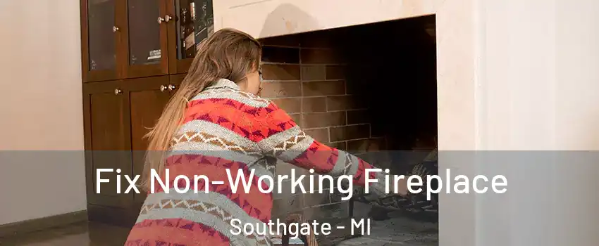  Fix Non-Working Fireplace Southgate - MI