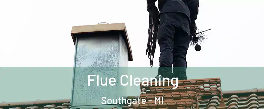  Flue Cleaning Southgate - MI