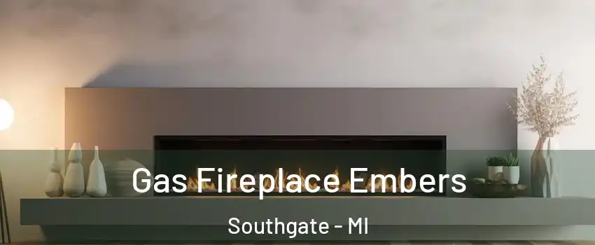  Gas Fireplace Embers Southgate - MI
