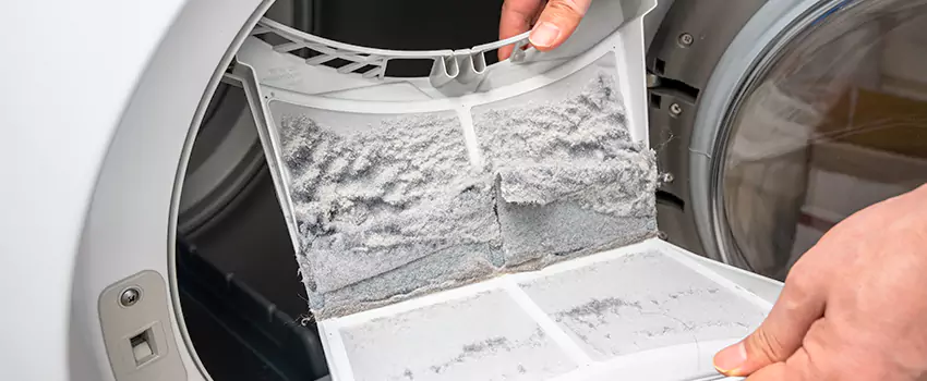 Best Dryer Lint Removal Company in Southgate, Michigan