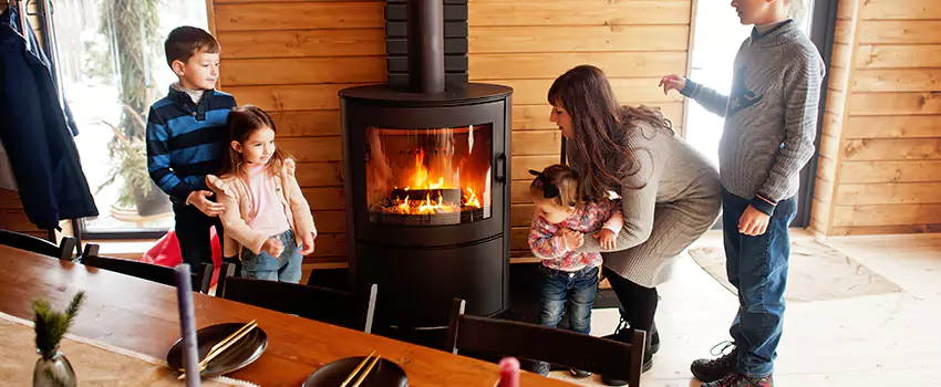 Jøtul Gas Fireplace Inspection Service in Southgate, Michigan