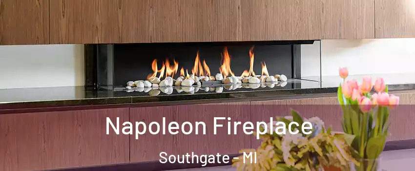  Napoleon Fireplace Southgate - MI